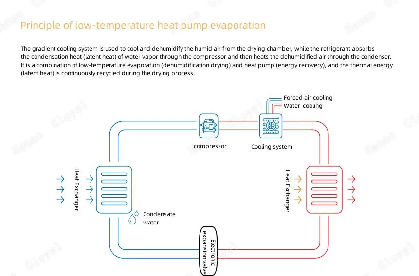 Sewage Treatment Plant Low Temperature Belt Sludge Drying Heat Pump Sludge Dryer